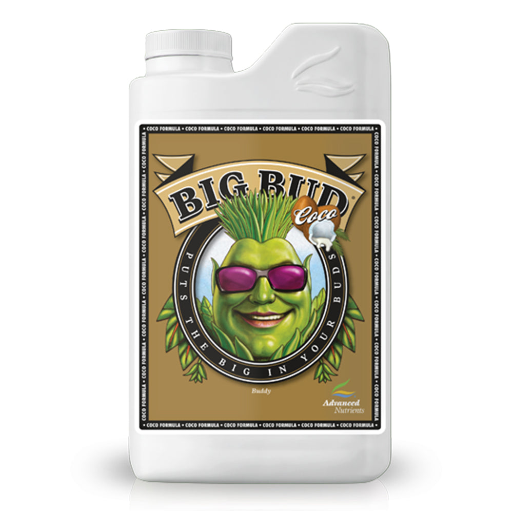 Big_Bud_Coco.jpg