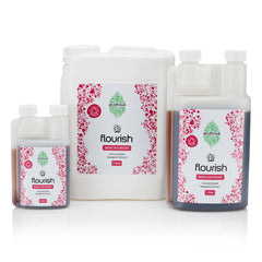 Flourish Group.jpg