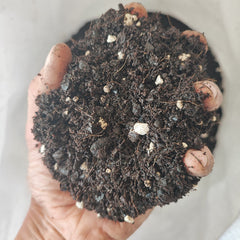 Indoor Organics Soil For Life 2.jpeg