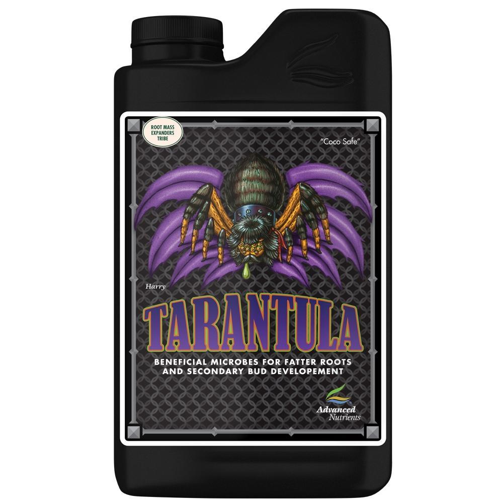 Tarantula_a14443a1-33ed-4b52-a084-5d6715d51806.jpg