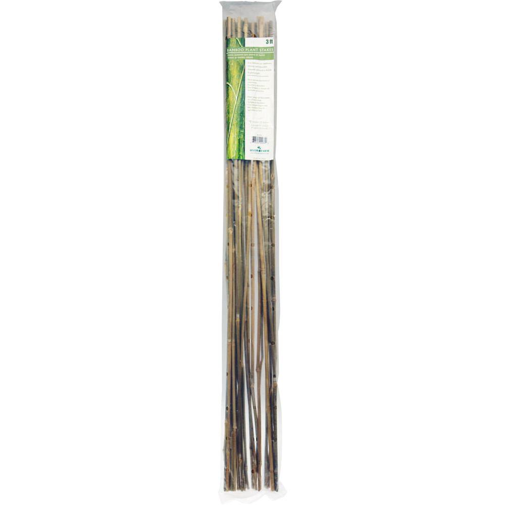 Bamboo_Canes_a0e508b9-dd2a-49f4-b409-df902cd7df70.jpg