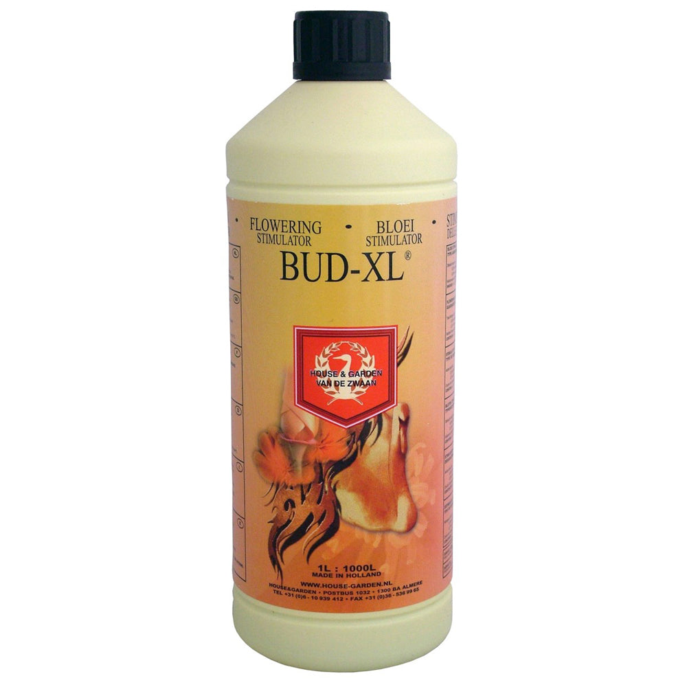 Bud XL 1L.jpg