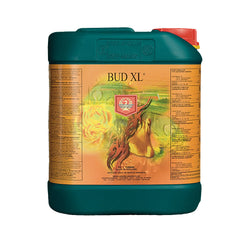 Bud XL 5L.jpg