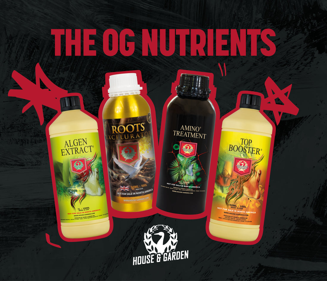The UK's Leading Hydroponic Supplier – GroWorks