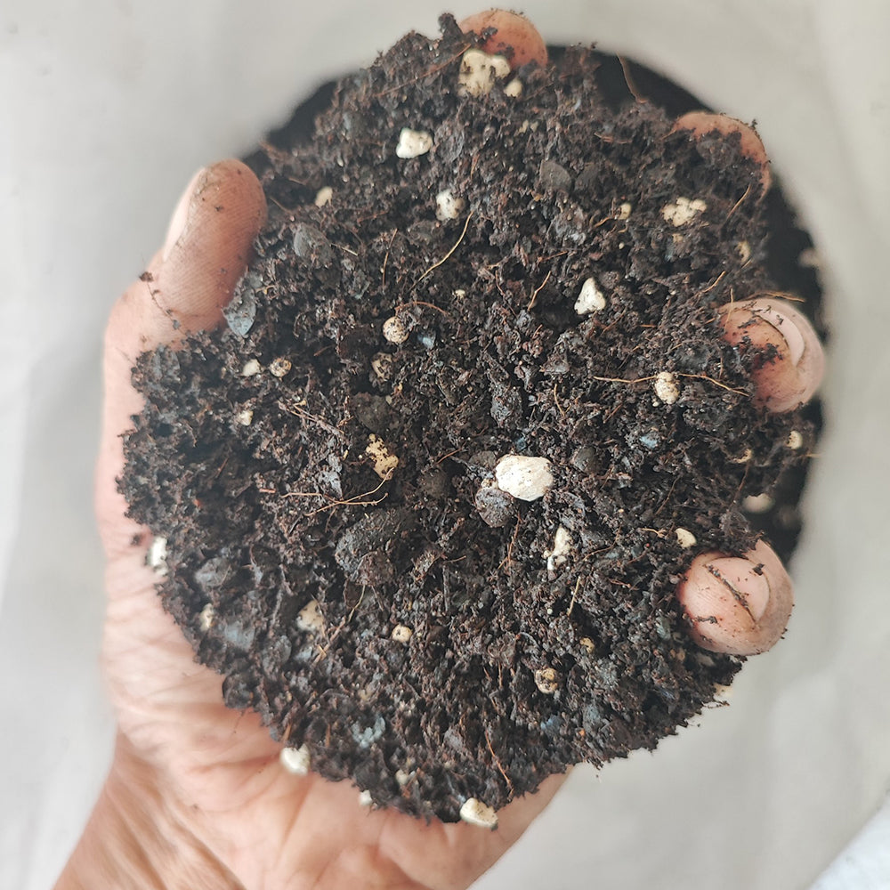 soil for indoor plants uk Indoor Organics Soil For Life