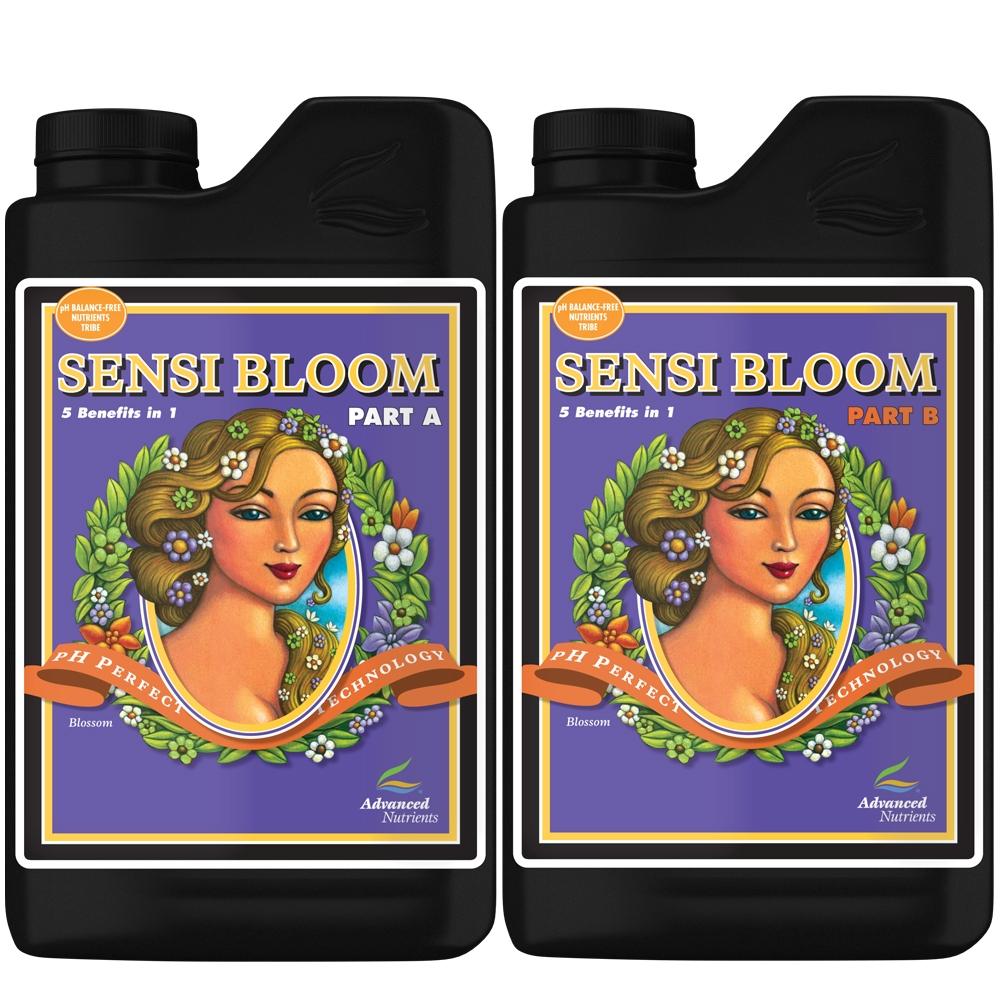 Sensi-Bloom_a96fa919-84d6-4438-8b13-96153961fe0b.jpg