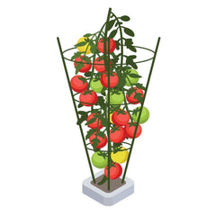 Tomato_Cage_Plant_Support_8cb743d2-7660-4ccb-8e7d-81a4801fca9a.jpg